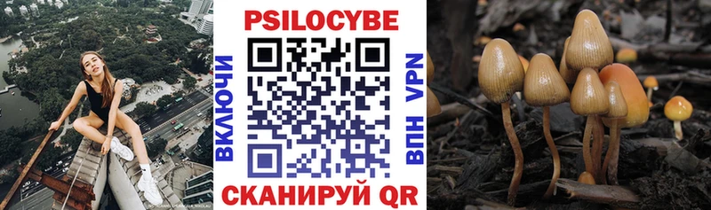 Купить Пермь Псилоцибиновые грибы Psilocybine cubensis
